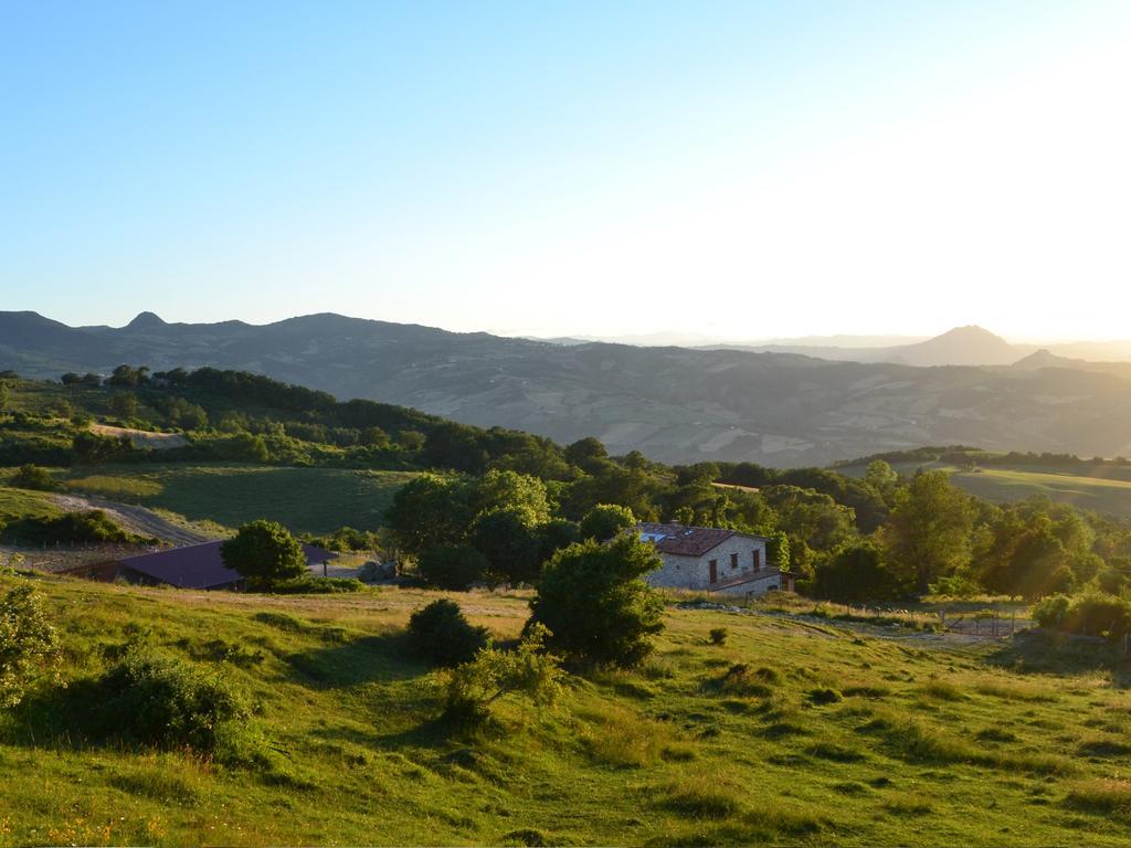 Fattoria Bio L'A Ceccoli Vila Sasso Feltrio Exterior foto