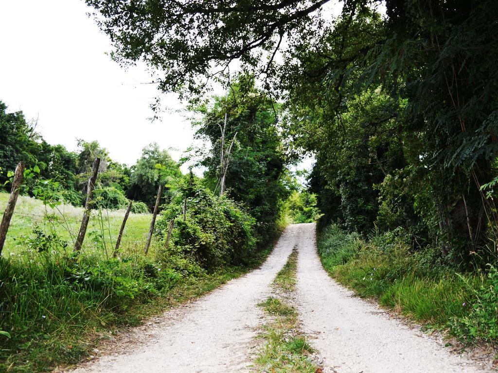 Fattoria Bio L'A Ceccoli Vila Sasso Feltrio Exterior foto