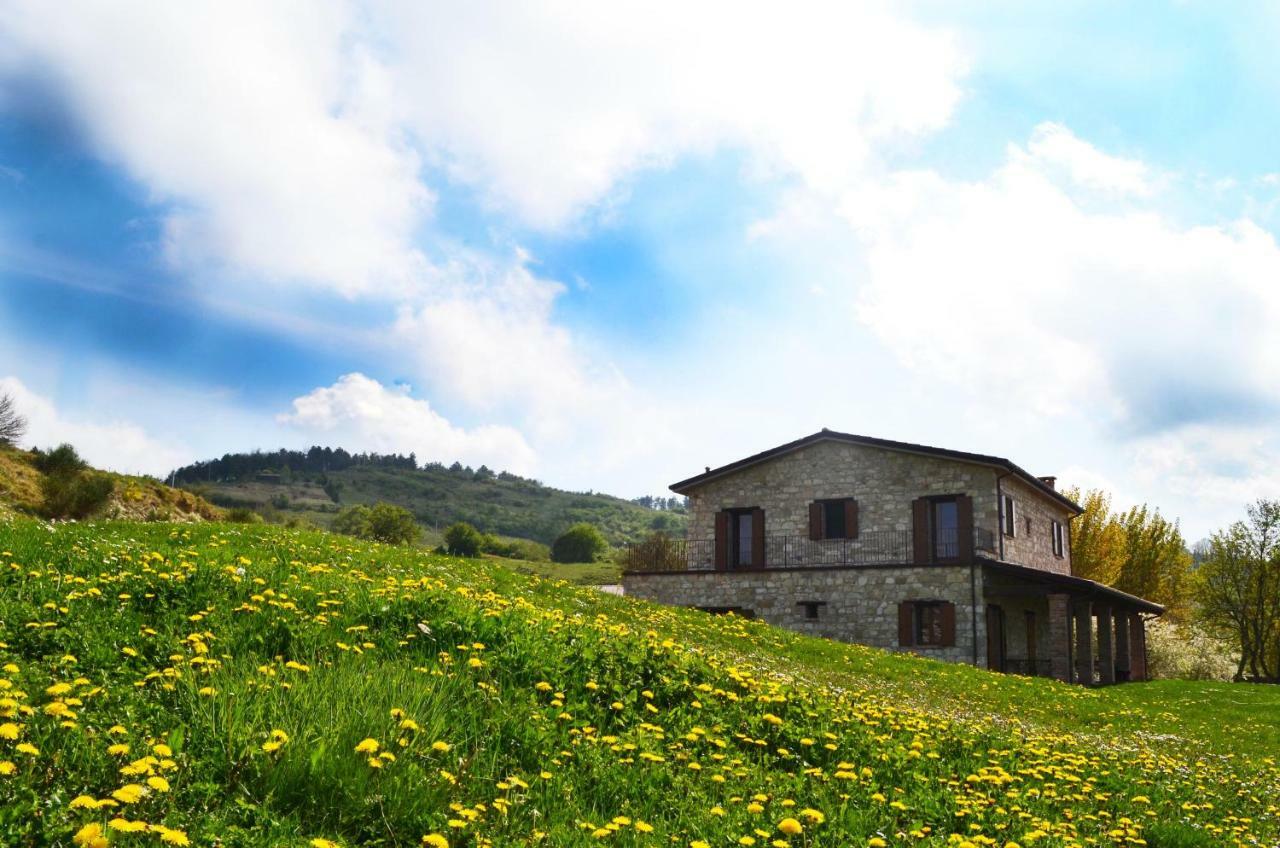 Fattoria Bio L'A Ceccoli Vila Sasso Feltrio Exterior foto