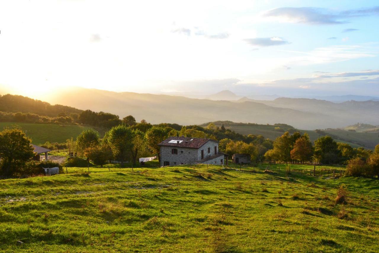 Fattoria Bio L'A Ceccoli Vila Sasso Feltrio Exterior foto